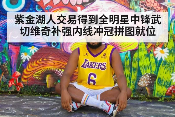 紫金湖人交易得到全明星中锋武切维奇补强内线冲冠拼图就位