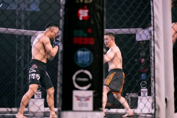 mma octagon fight